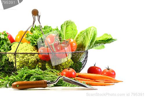 Image of Summer vegetables with garden shovel