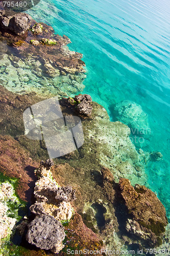 Image of Rocks under a transparent sea water