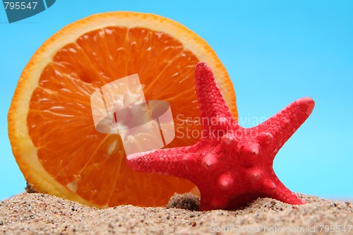 Image of Summer fruit