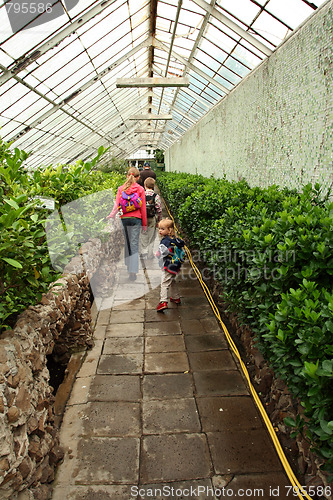 Image of Trip to the conservatory