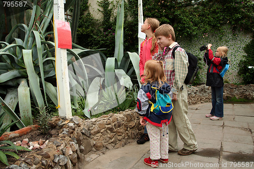 Image of Trip to the conservatory