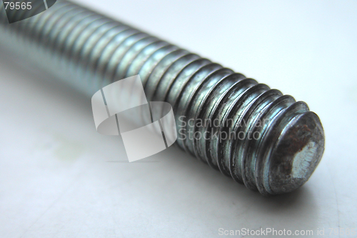 Image of The Screw