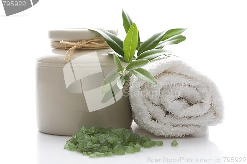 Image of fresh olive branch and bath salt. spa