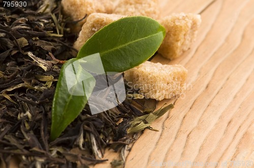 Image of green tea with fresh branch