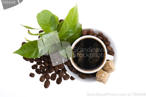 Image of fresh coffee with coffee branch
