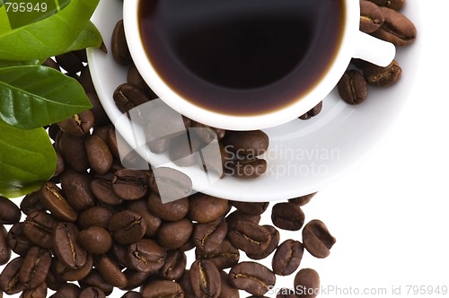 Image of fresh coffee with coffee branch
