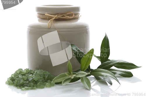 Image of fresh olive branch and bath salt. spa