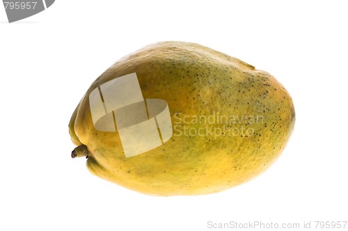 Image of mango isolated on white background