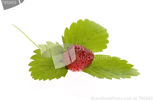 Image of Strawberry isolated on white background