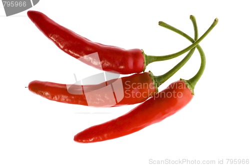 Image of red hot chilli peppers isolated on white