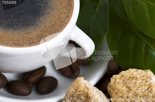 Image of fresh coffee with coffee branch
