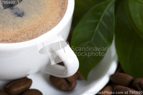 Image of fresh coffee with coffee branch