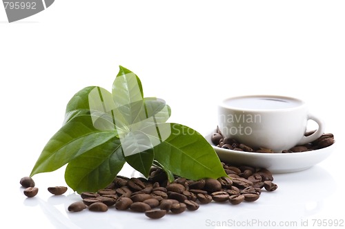 Image of fresh coffee with coffee branch