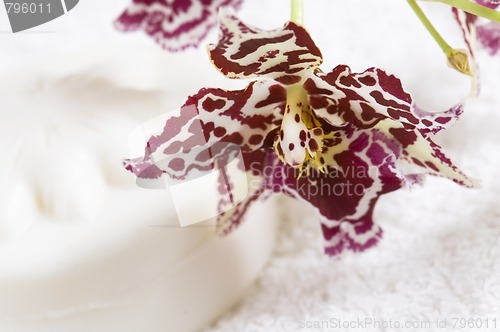 Image of Spa items with white towels, natural soap and orchid