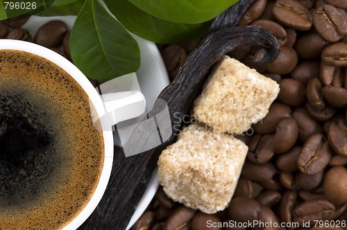 Image of aroma coffee with vanilla and coffee branch