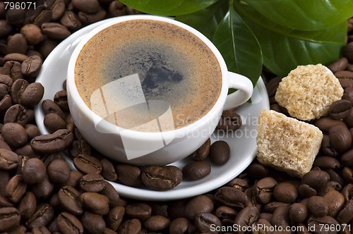 Image of fresh coffee with coffee branch