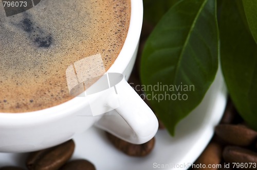 Image of fresh coffee with coffee branch