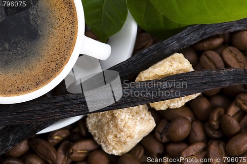 Image of aroma coffee with vanilla and coffee branch