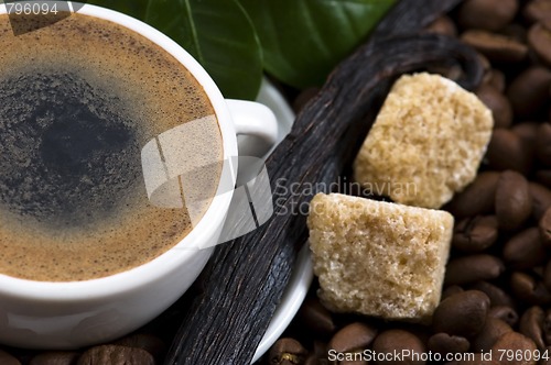 Image of aroma coffee with vanilla and coffee branch