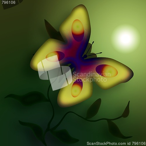 Image of Misty Butterfly