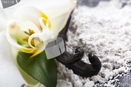 Image of vanilla beans with aromatic sugar and flower