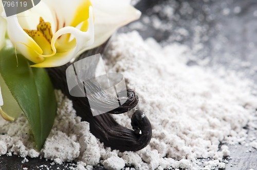 Image of vanilla beans with aromatic sugar and flower