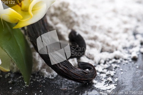 Image of vanilla beans with aromatic sugar and flower