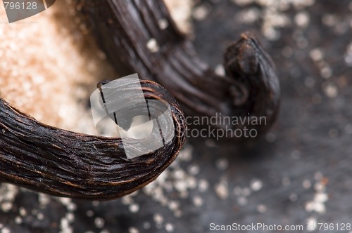 Image of vanilla beans with brown sugar