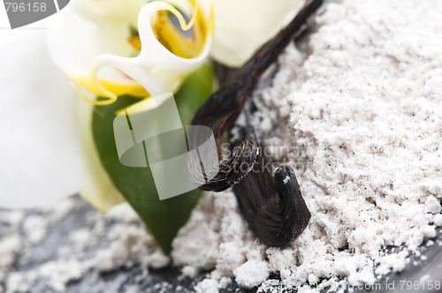 Image of vanilla beans with aromatic sugar and flower