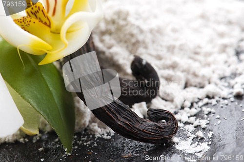 Image of vanilla beans with aromatic sugar and flower