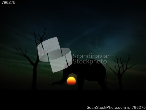 Image of Elephant Sunrise 