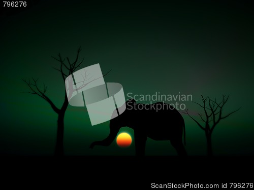 Image of Elephant Sunrise 