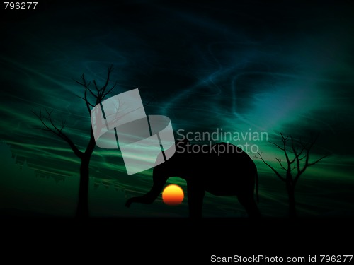 Image of Elephant Sunrise