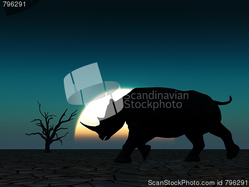 Image of Rhino Wildlife