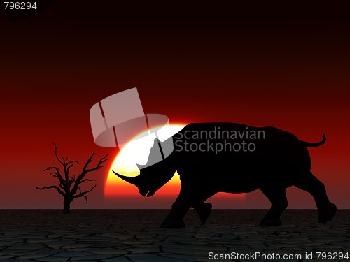 Image of Rhino Wildlife