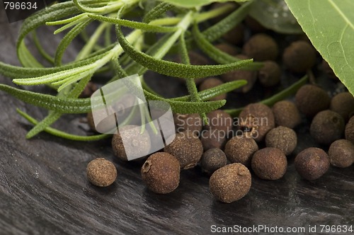 Image of allspice with fresh rosemary