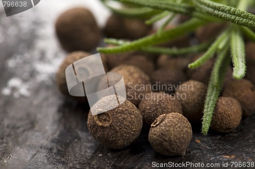 Image of allspice with fresh rosemary