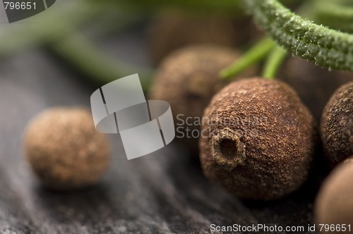 Image of allspice with fresh rosemary