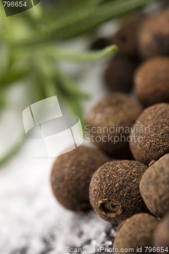 Image of allspice with fresh rosemary