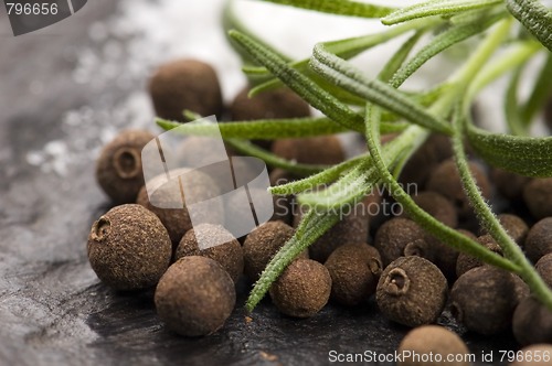 Image of allspice with fresh rosemary