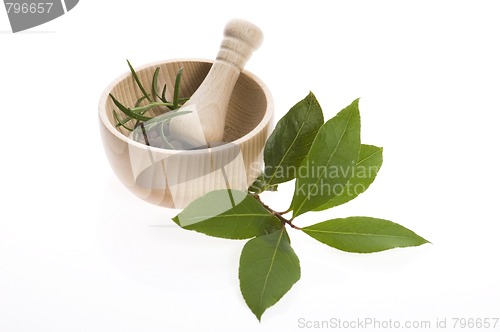 Image of Mortar and pestle, with fresh-picked herbs