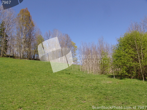 Image of Summer landscape