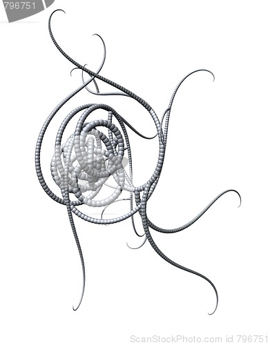 Image of tentacles
