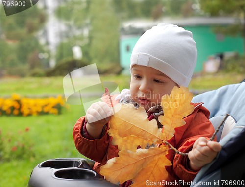 Image of baby and autumn leafs