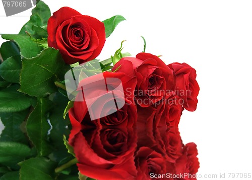 Image of Red roses