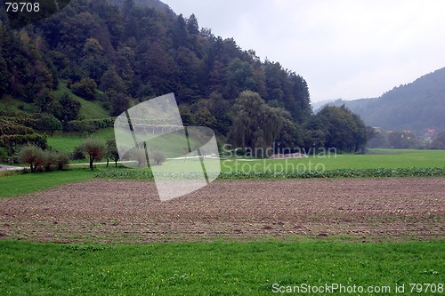 Image of field