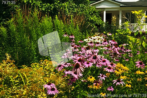 Image of Residential garden landscaping