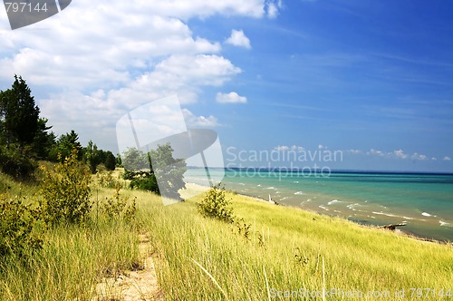 Image of Sand dunes at beach