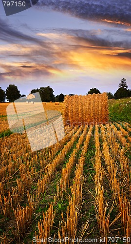 Image of Golden sunset over farm field