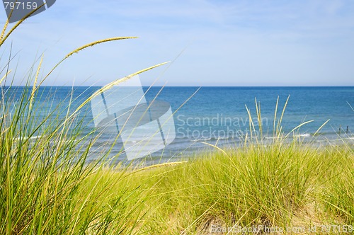 Image of Sand dunes at beach